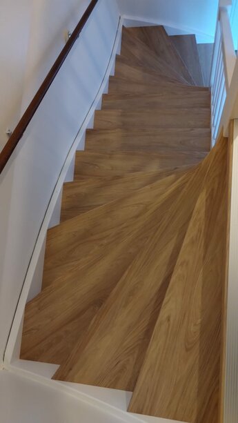 Masonic Hickory Natuur